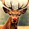 2016 Asian Deer Hunting : Play Pefect Shooting Pro