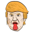 Angry Donald
