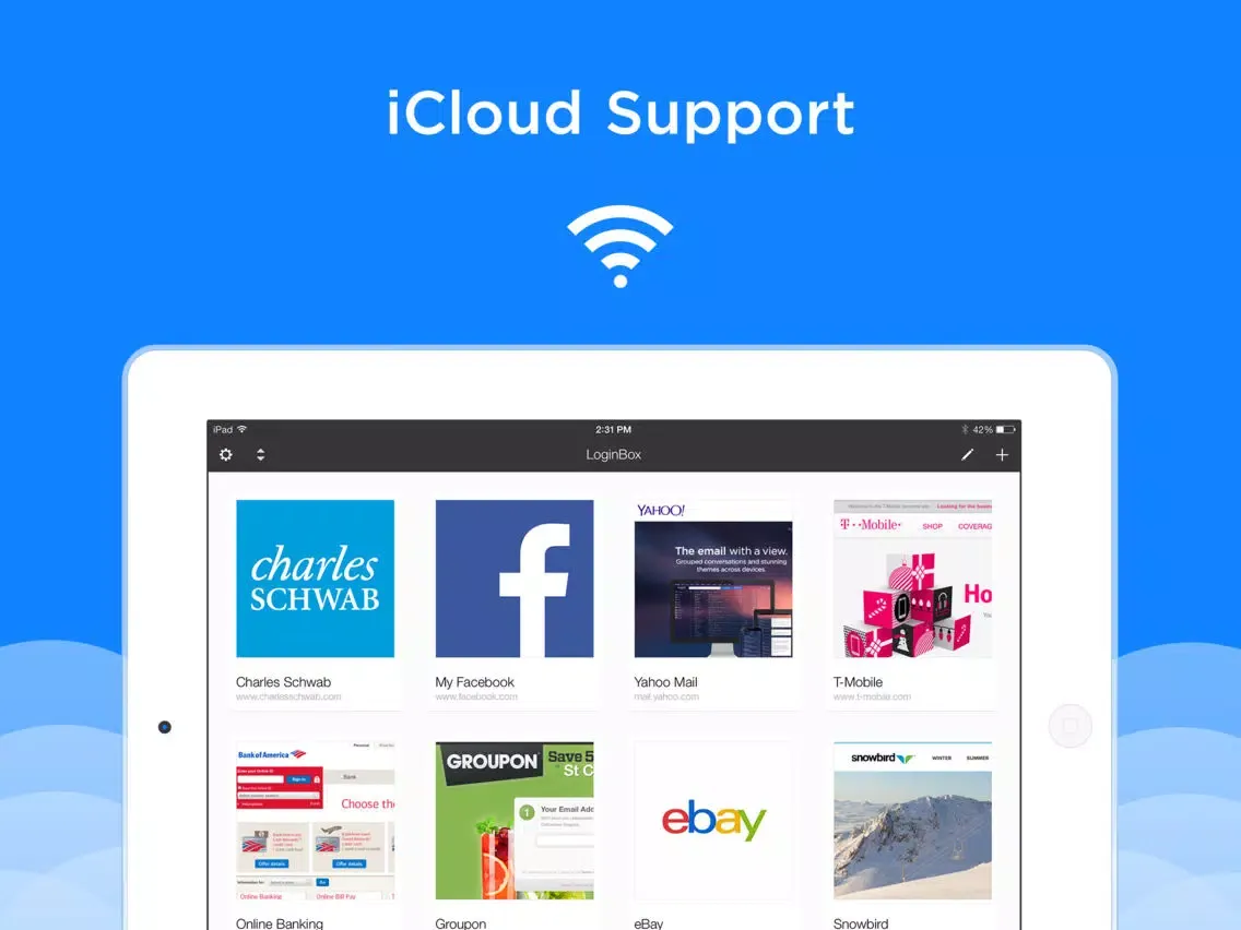 LoginBox Pro iPad  Ekran Görüntüleri