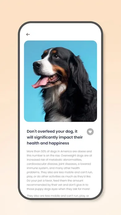 My Guilty Dogs Screenshots