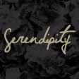 Serendipity Treviso