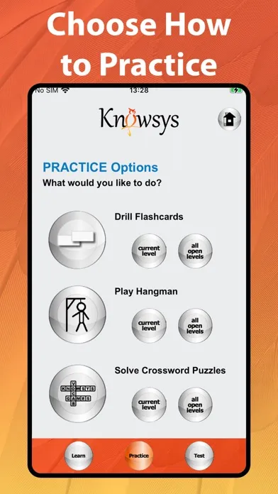 Vocabulary Games by Knowsys 스크린샷