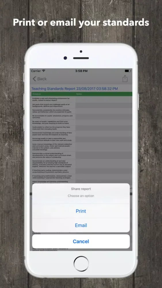Screenshot di Teacher Standards Checklist en