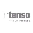 Intenso