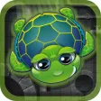 Falling Turtles Fates Falling Turtles Fates