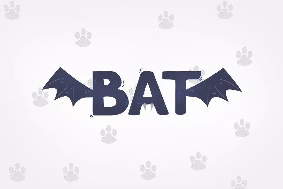 صور Funtastic Animal Facts Flashcards Lite
