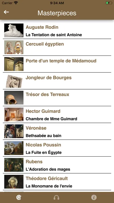 MBA, Musée des Beaux-Arts Lyon Ekran Görüntüleri