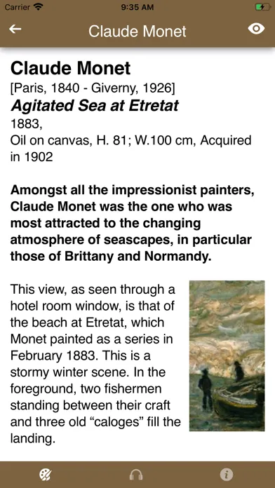 MBA, Musée des Beaux-Arts Lyon Ekran Görüntüleri