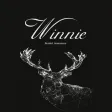 葳妮婚紗飾品設計 Winnie Accessory