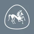 CURO Equine CURO Equine
