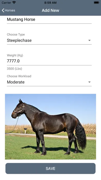CURO Equine Ekran Görüntüleri