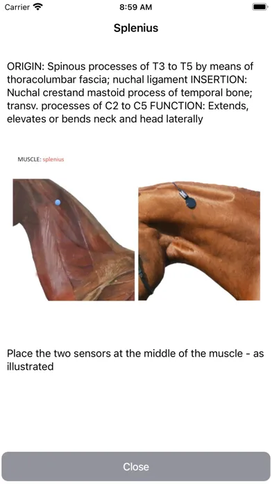 CURO Equine Ekran Görüntüleri