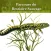 Bestiaire sauvage