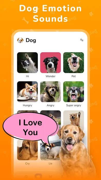 تصاویر My Talking Pet - MyPet