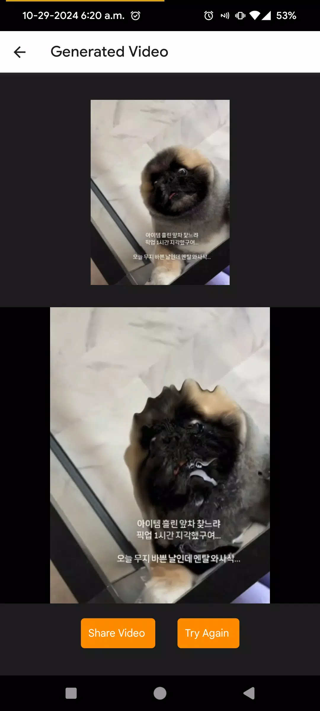 Pika Art : AI Video Generator Screenshots5