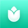 PlantIn: Plant Identification