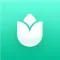 PlantIn: Plant Identification