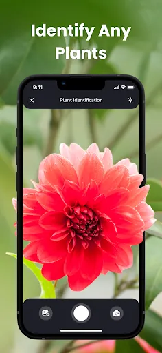 PlantIn: Plant Identification Screenshots