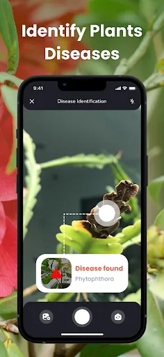 PlantIn: Plant Identification Screenshots