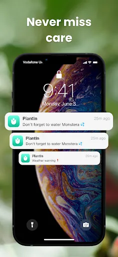 PlantIn: Plant Identification Screenshots