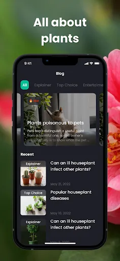 PlantIn: Plant Identification Screenshots
