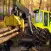 Sawmill Driving Simulator