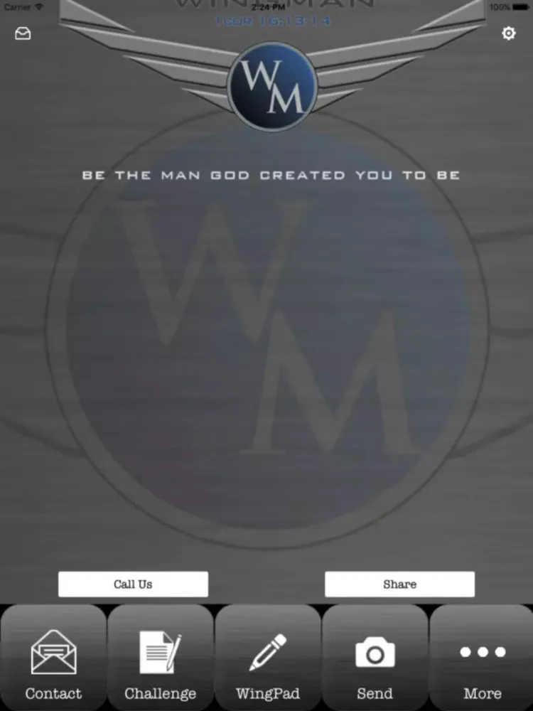 Tangkapan skrin Wingman Nation iPad 