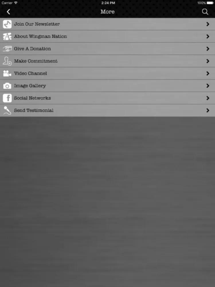 Tangkapan skrin Wingman Nation iPad 