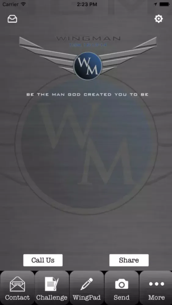 Tangkapan skrin Wingman Nation