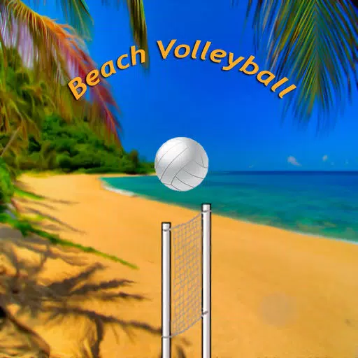 Simple beach volleyball free