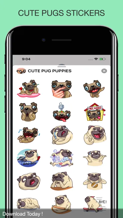 Tangkapan layar CUTE PUG PUPPIES