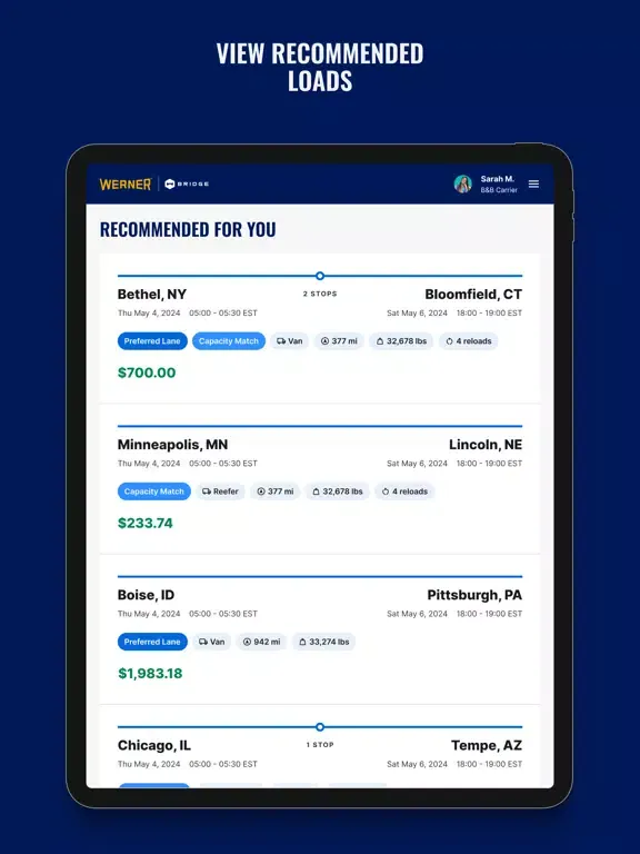 Werner Bridge for Carriers iPad 应用截图