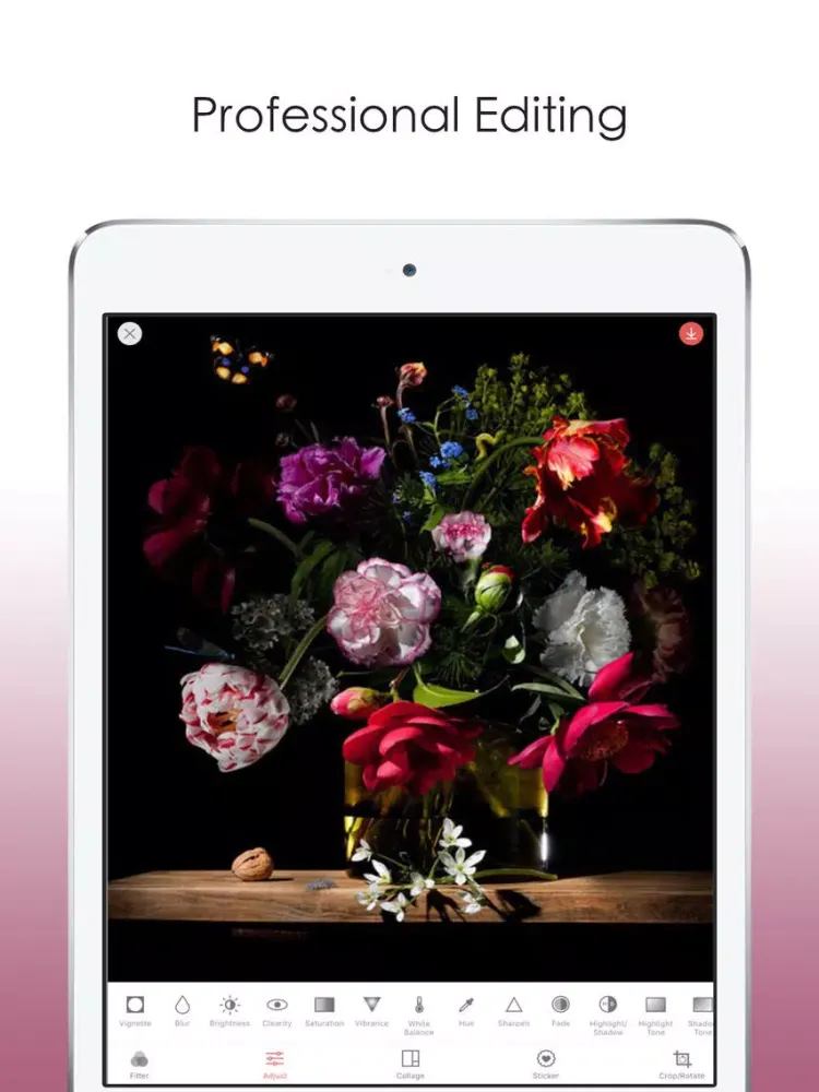 Capturas de pantalla de FotoShow - Filters,Photo Editor,Collage,Sticker iPad 