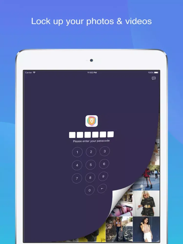 Lion Vault - Safe photo locker iPad 应用截图
