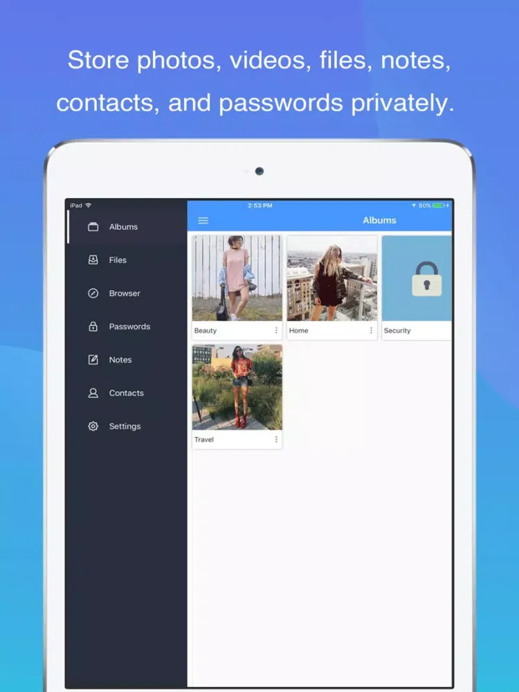 Lion Vault - Safe photo locker iPad 应用截图
