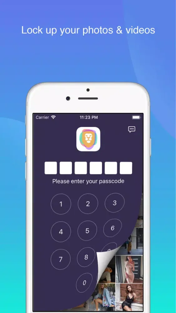 Lion Vault - Safe photo locker应用截图