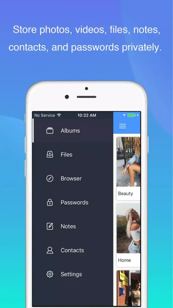 Lion Vault - Safe photo locker应用截图