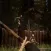 Sons Of The Horror Forest Game