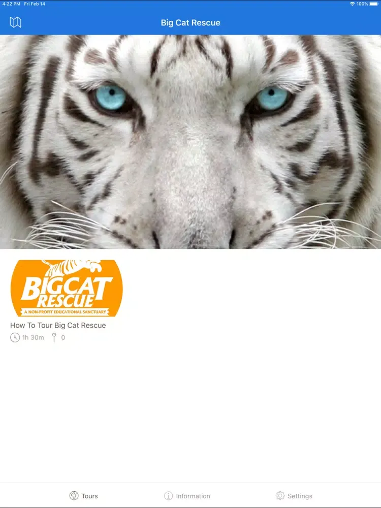 Big Cat Rescue App iPad  स्क्रीनशॉट