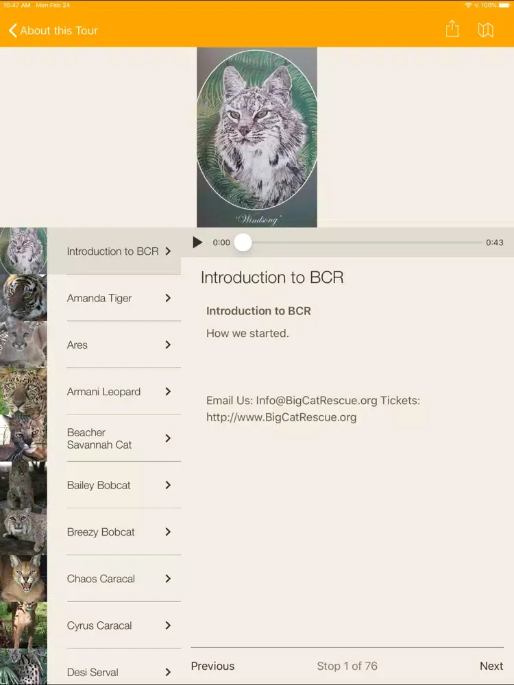 Big Cat Rescue App iPad  स्क्रीनशॉट