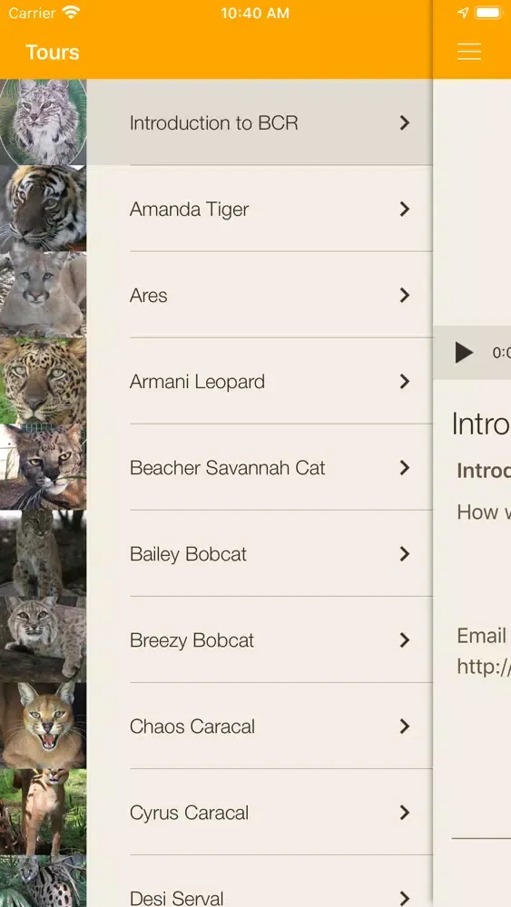 Big Cat Rescue App स्क्रीनशॉट