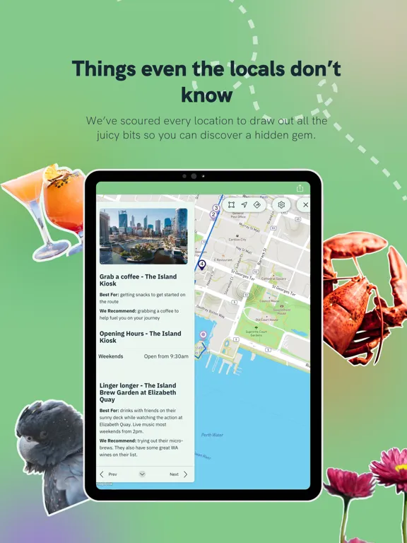 صور Stories Unseen | Explore More iPad 