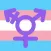TransMe: Transgender Dating