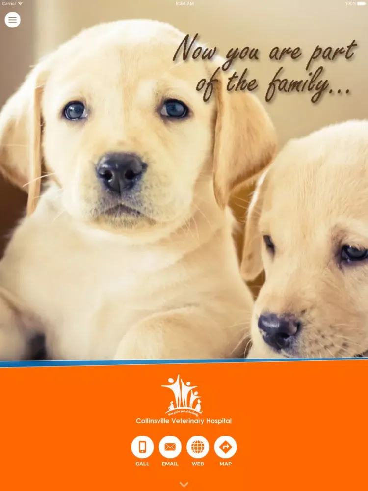 تصاویر Collinsville Veterinary Hospital iPad 