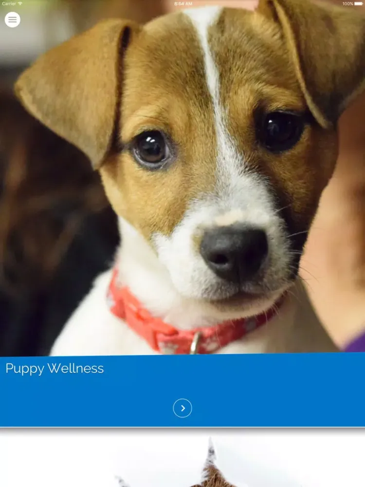 تصاویر Collinsville Veterinary Hospital iPad 