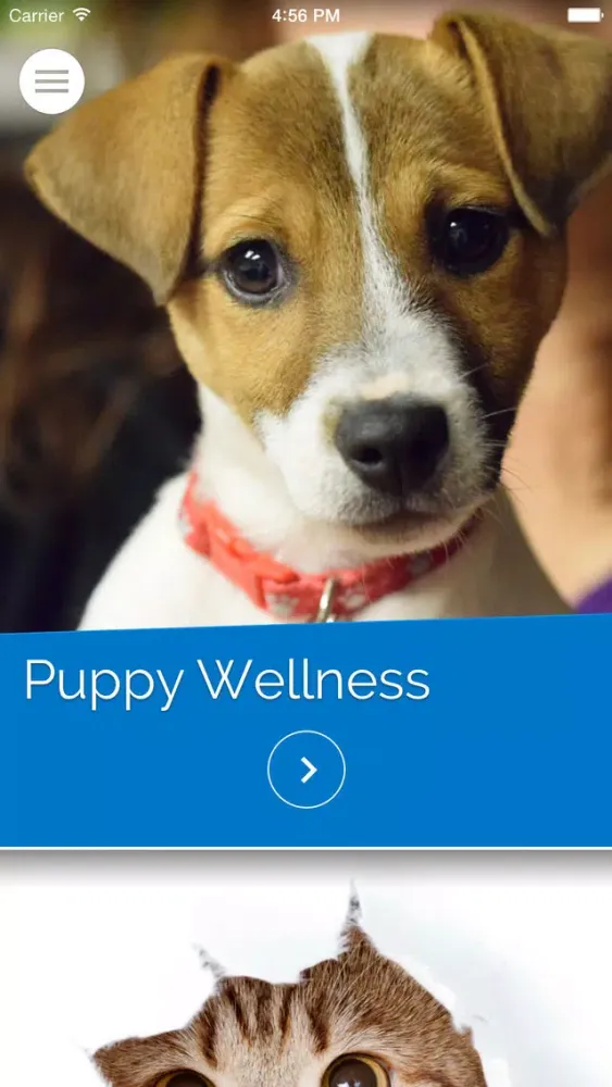 تصاویر Collinsville Veterinary Hospital