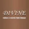 Divine Coiffure Paris