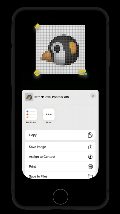 Pixel Print Screenshots