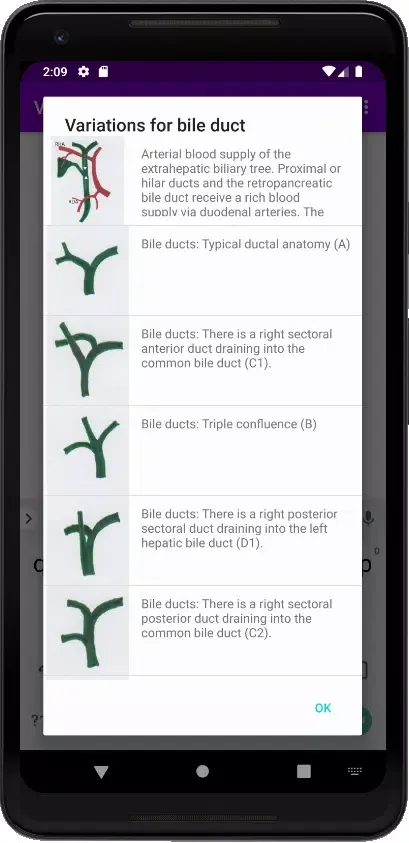 Screenshot di Vascular Variants