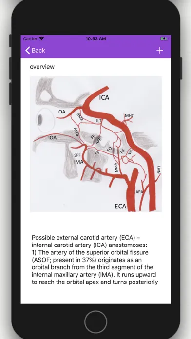 Vascular Variants应用截图